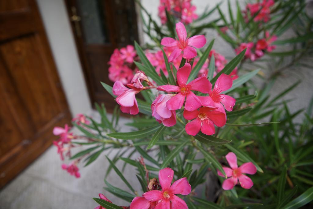 Casa Traquandi Apartment Кастилион Фиорентино Екстериор снимка